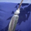 CR1000型茎流（液流）测量系统