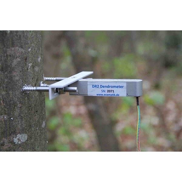 DR半径生长测量仪