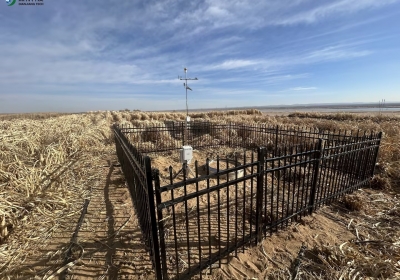 土壤墒情监测系统助力菌草研究
