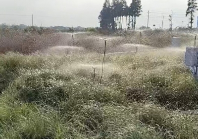 点将科技助力中国科学院亚热带农业生态研究所打造智能灌溉系统，实现高效节水与精准管理