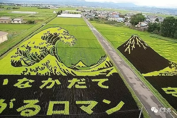 小e讲堂の捋一捋土壤墒情监测相关的几个关键概念!