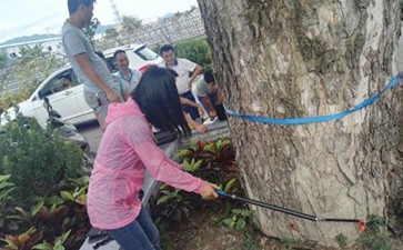 点将科技顺利通过三亚市林业科学研究院木质无损检测项目验收