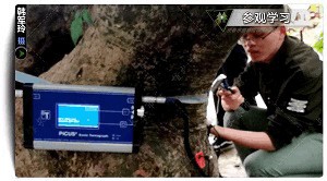 2018年全国园林植物保护交流协作会