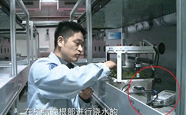 中国宇航员在太空站通过WET-2监测莴苣生长状况