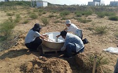 大型环境气象观测系统顺利通过陕西省治沙研究所验收