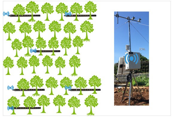 1617934173477646.png blob.png