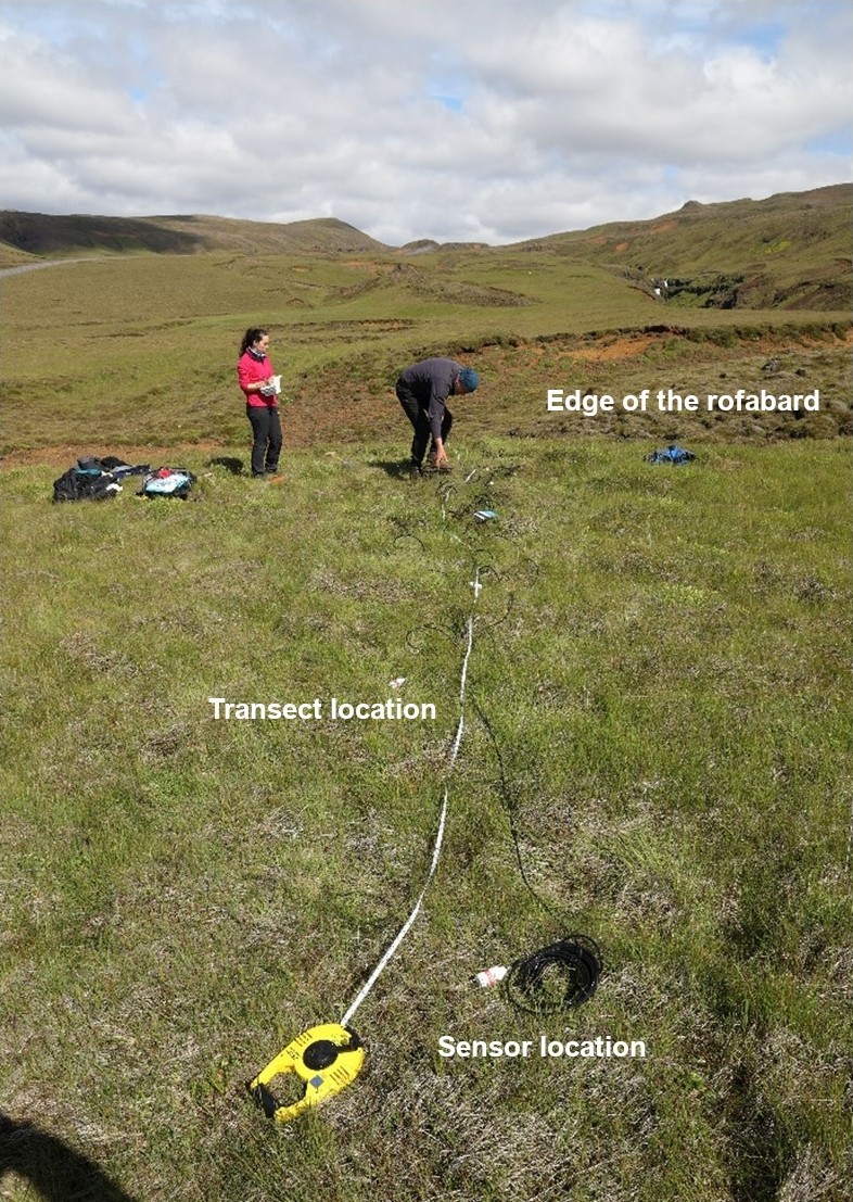 土壤湿度测量案例