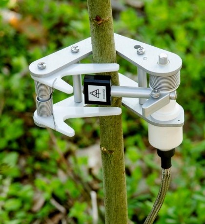 茎秆生长传感器 茎秆生长传感器