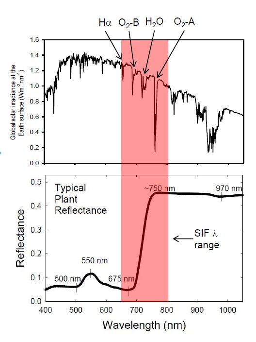 叶绿素荧光监测系统