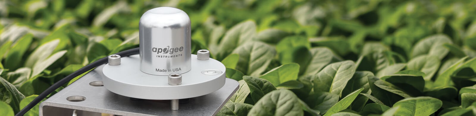 紫外辐射传感器 紫外辐射传感器