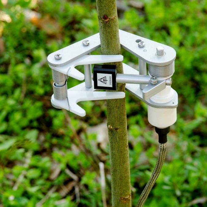 树干直径变化测量传感器 树干直径变化测量传感器