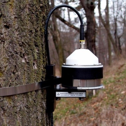树干周长变化测量传感器 树干周长变化测量传感器