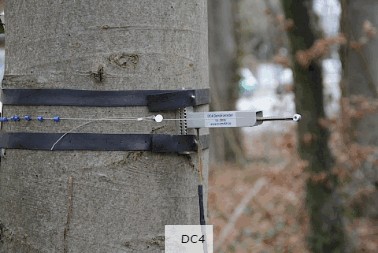 周长生长测量传感器 周长生长测量传感器