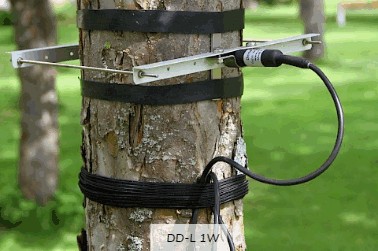 直径生长测量传感器