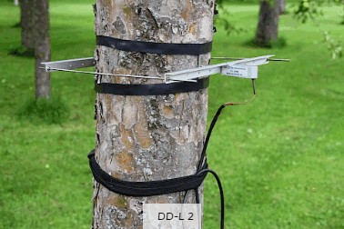 直径生长测量传感器