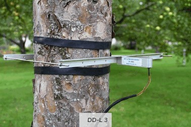 直径生长测量传感器