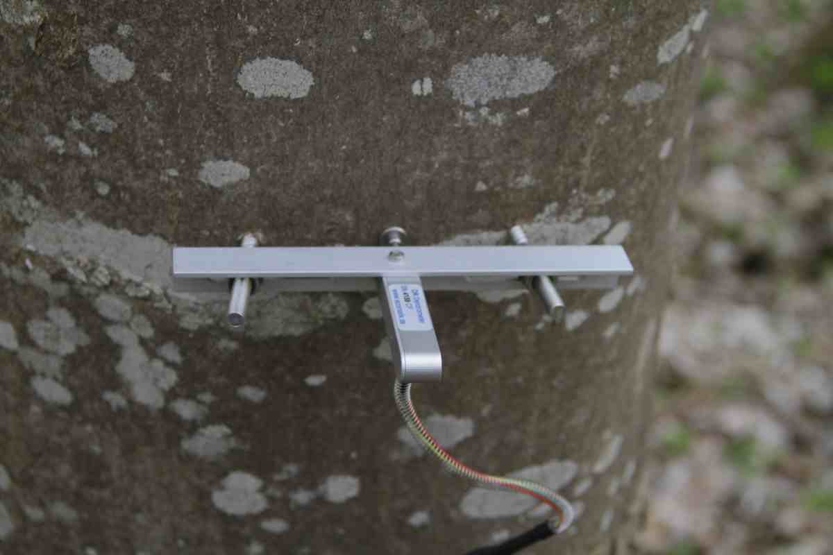 半径生长测量仪 半径生长测量仪