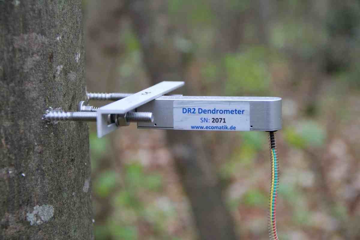 半径生长测量仪 半径生长测量仪