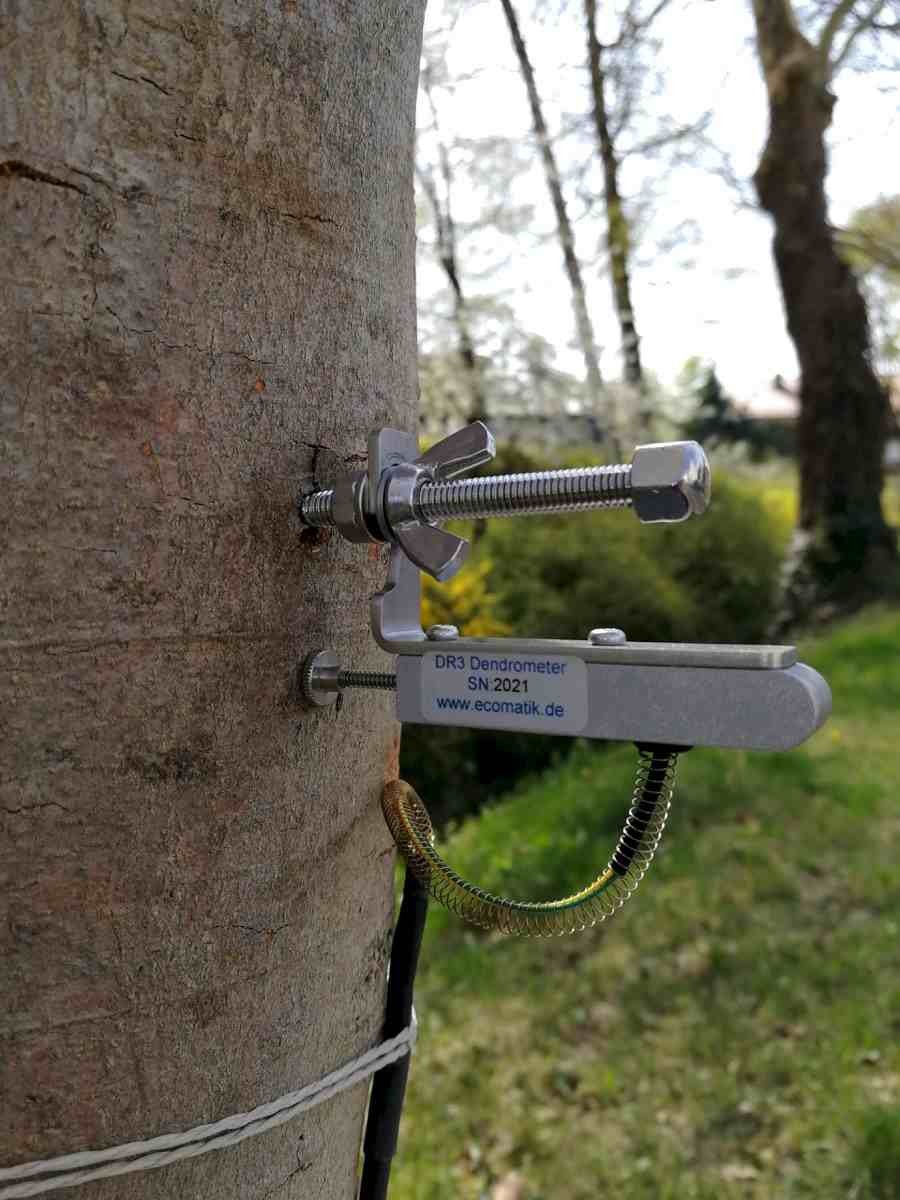 半径生长测量仪 半径生长测量仪