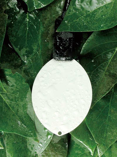 叶片湿度传感器 叶片湿度传感器