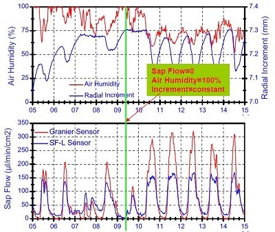 PE-SF08 植物插针茎流系统
