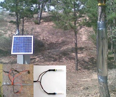 PE-SF08 植物插针茎流系统