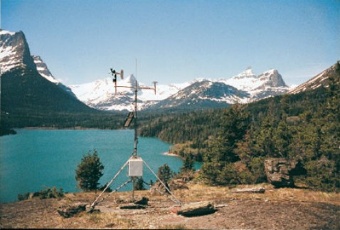 森林小气候 森林小气候