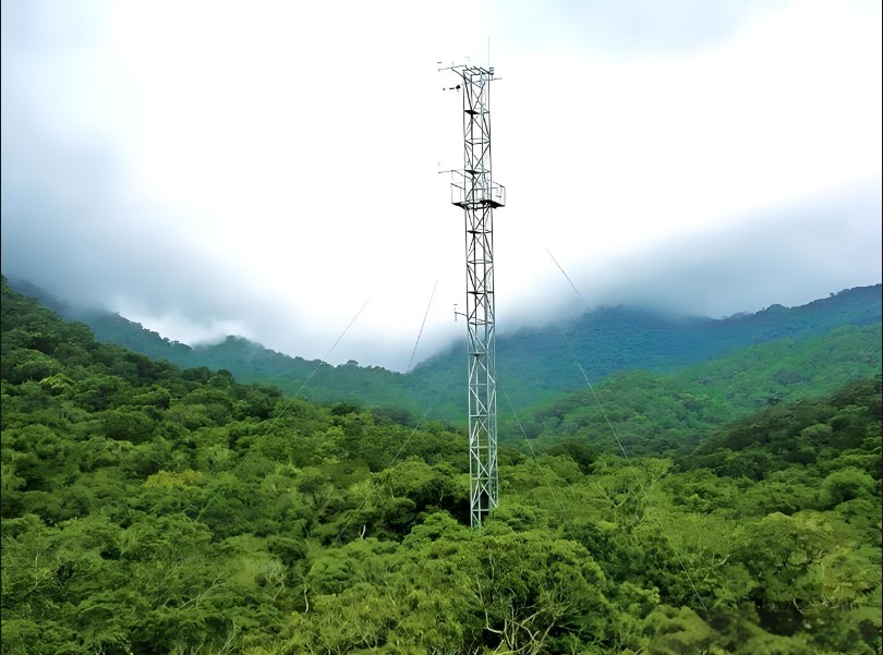 森林物候监测解决方案 森林物候监测解决方案