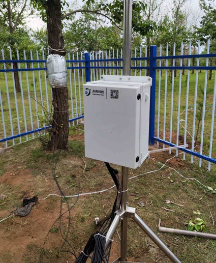 插针茎流(TDP法)监测系统 插针茎流(TDP法)监测系统