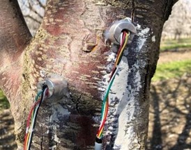 图片关键词 图片关键词