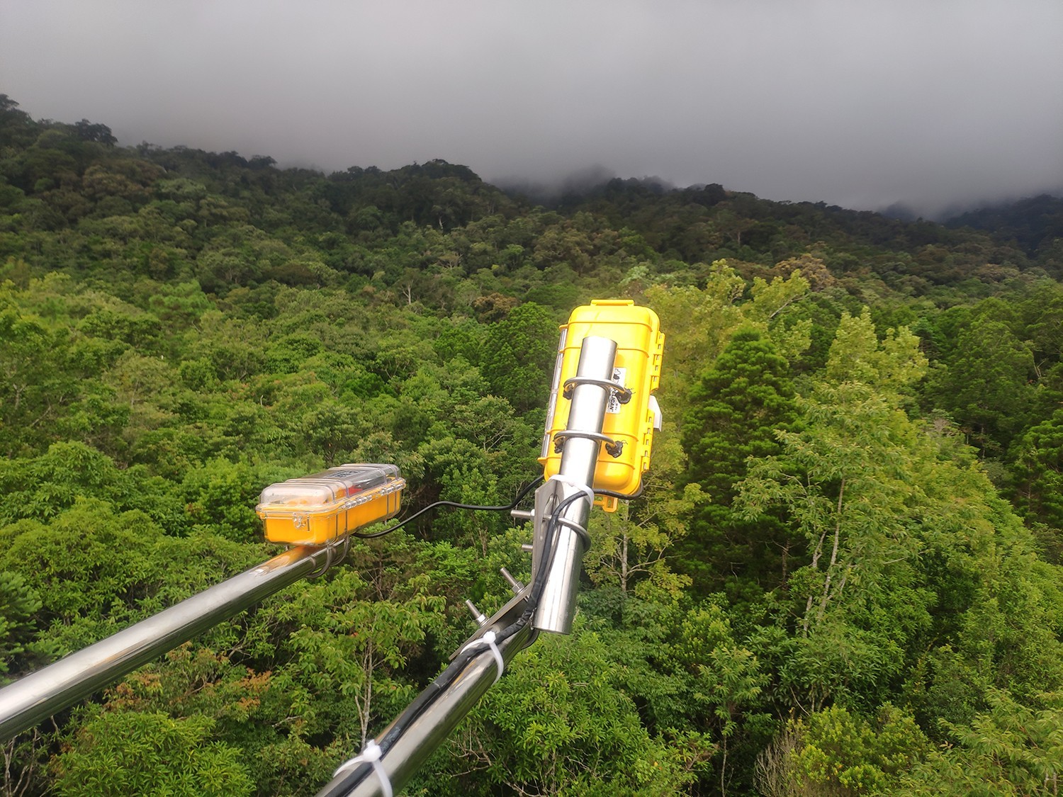 物候多光谱成像