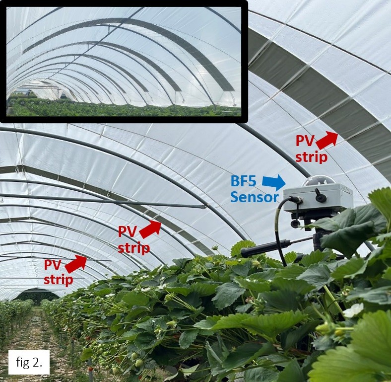 BF5日照辐射传感器