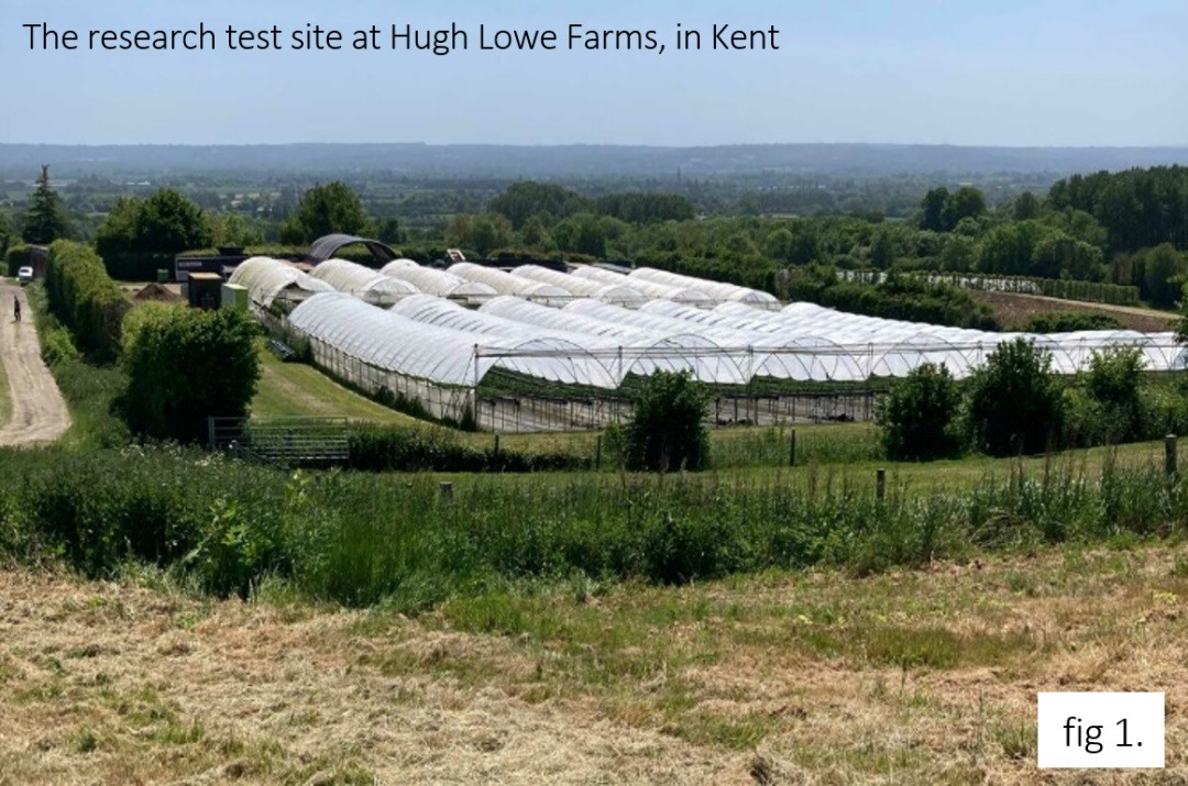 BF5日照辐射传感器