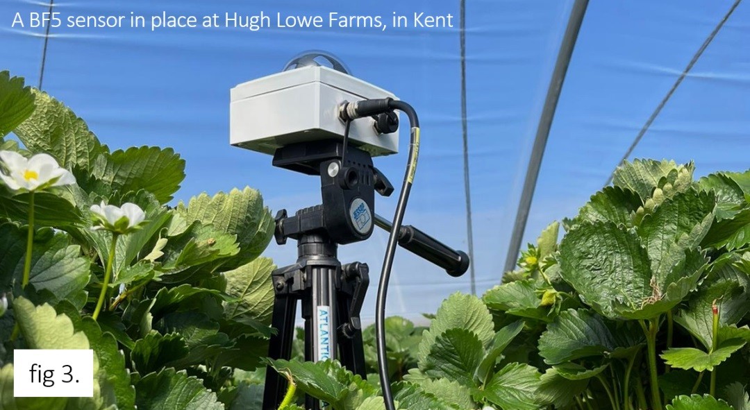 BF5日照辐射传感器