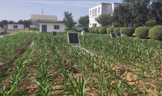 土壤旱情监测系统