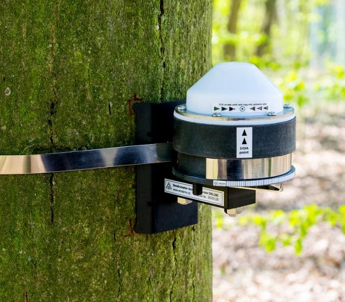 树干茎秆生长变化测量仪