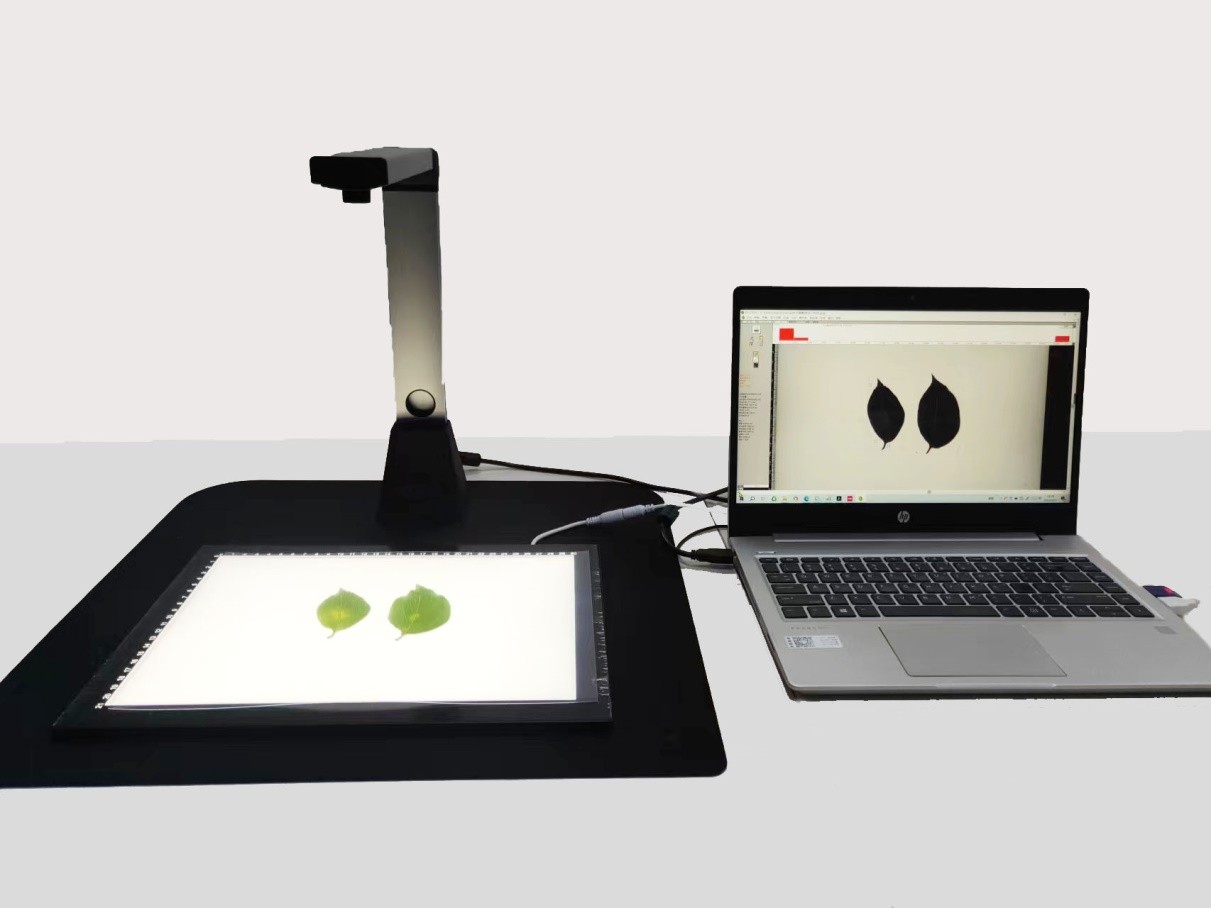 点将叶片图像分析仪