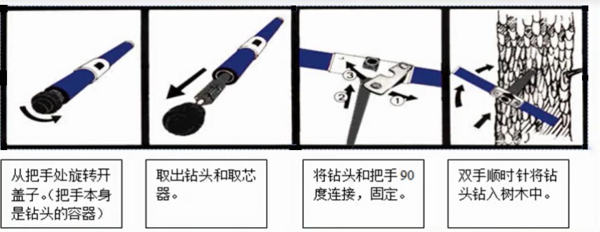 树木生长锥全攻略