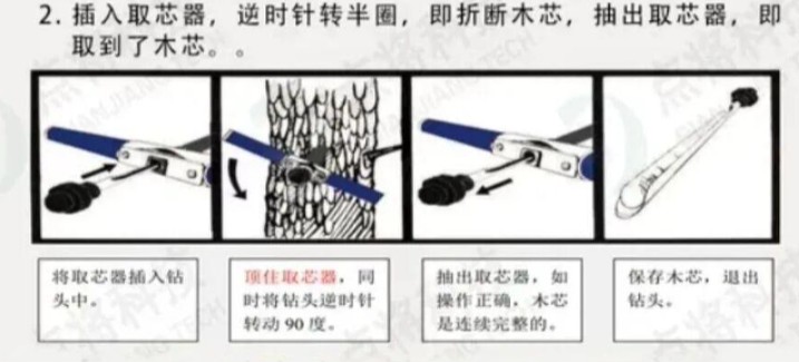 树木生长锥全攻略