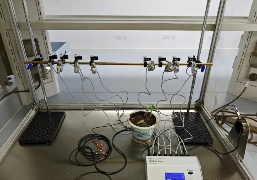 EPG昆虫刺探电位仪系统