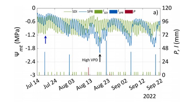 柑橘（橘子）果园的连续水势监测