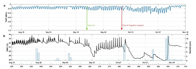 极端干旱（Megadrought）下的苹果树生存表现