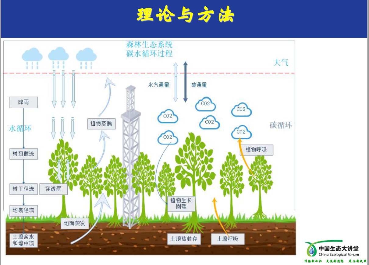 点将科技&生态大讲堂
