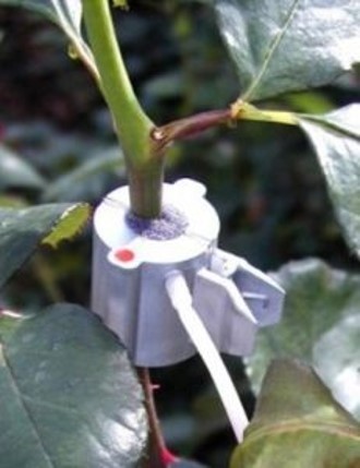 包裹式茎干液流传感器 包裹式茎干液流传感器